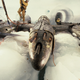 Encuentro con la “chica del glaciar”. Lost-Squadron